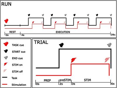 State-Dependent Gain Modulation of Spinal Motor Output